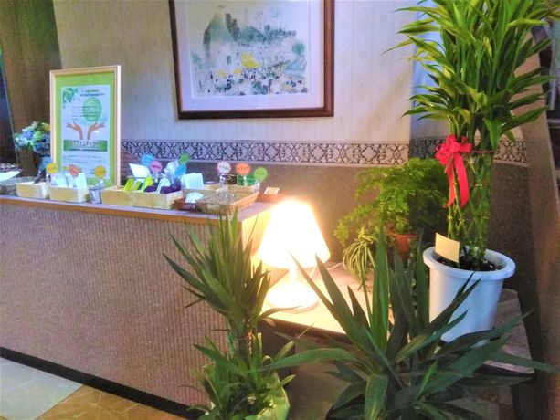 Imagen de los interiores del Hotel Hotel NICEIN. Foto 19