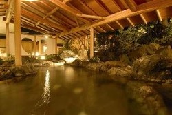 Imagen general del Hotel Hotel New Mitoya. Foto 4