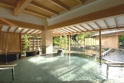 Imagen general del Hotel Hotel New Mitoya. Foto 6