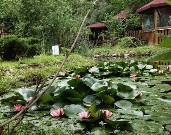 Imagen de los exteriores del Hotel Hotel Nicky. Foto 6