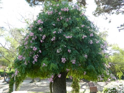 Imagen general del Hotel Hotel Norte. Foto 20