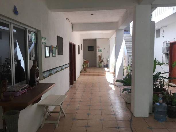 Imagen de los exteriores del Hotel Hotel Oasis Cuyutlan. Foto 7