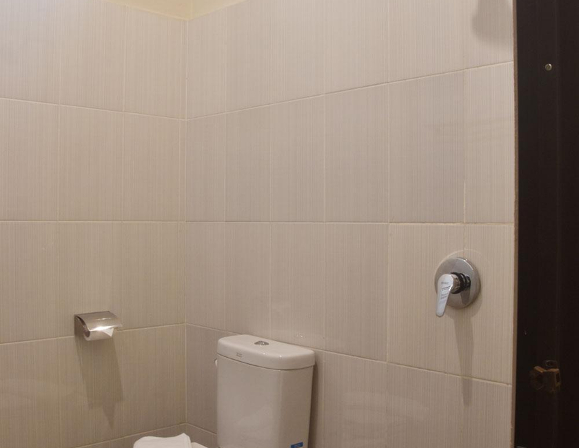 Imagen general del Hotel Hotel Orizatha. Foto 18