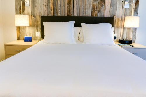 Imagen de la habitación del Hotel Hotel Paradox, Autograph Collection. Foto 6