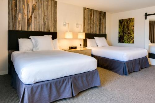 Imagen de la habitación del Hotel Hotel Paradox, Autograph Collection. Foto 8