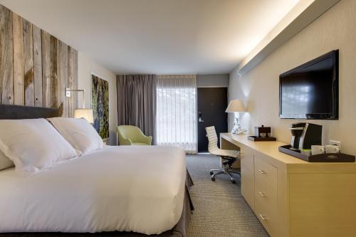 Imagen de la habitación del Hotel Hotel Paradox, Autograph Collection. Foto 9