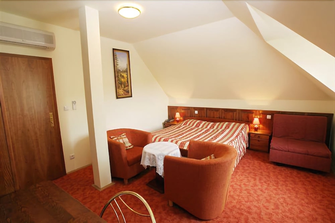 Imagen de la habitación del Hotel Hotel Pawlovnia. Foto 7