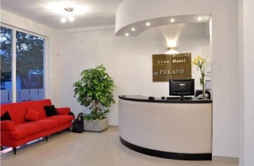 Imagen general del Hotel Hotel Pelayo. Foto 7