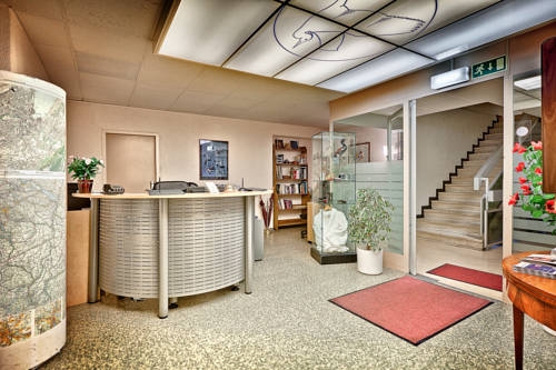 Imagen general del Hotel Hotel Phoenix. Foto 3