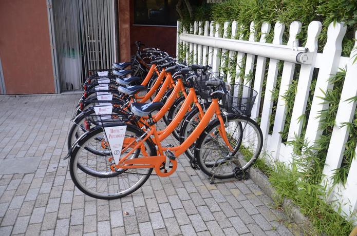 Imagen de los exteriores del Hotel Hotel Piccadilly. Foto 9