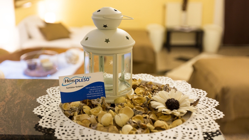 Imagen de los interiores del Hotel Hotel Pleso. Foto 15