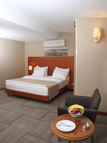 Imagen de la habitación del Hotel Hotel Polatdemir. Foto 3