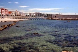 Imagen general del Hotel Hotel Porto Di Roma. Foto 3