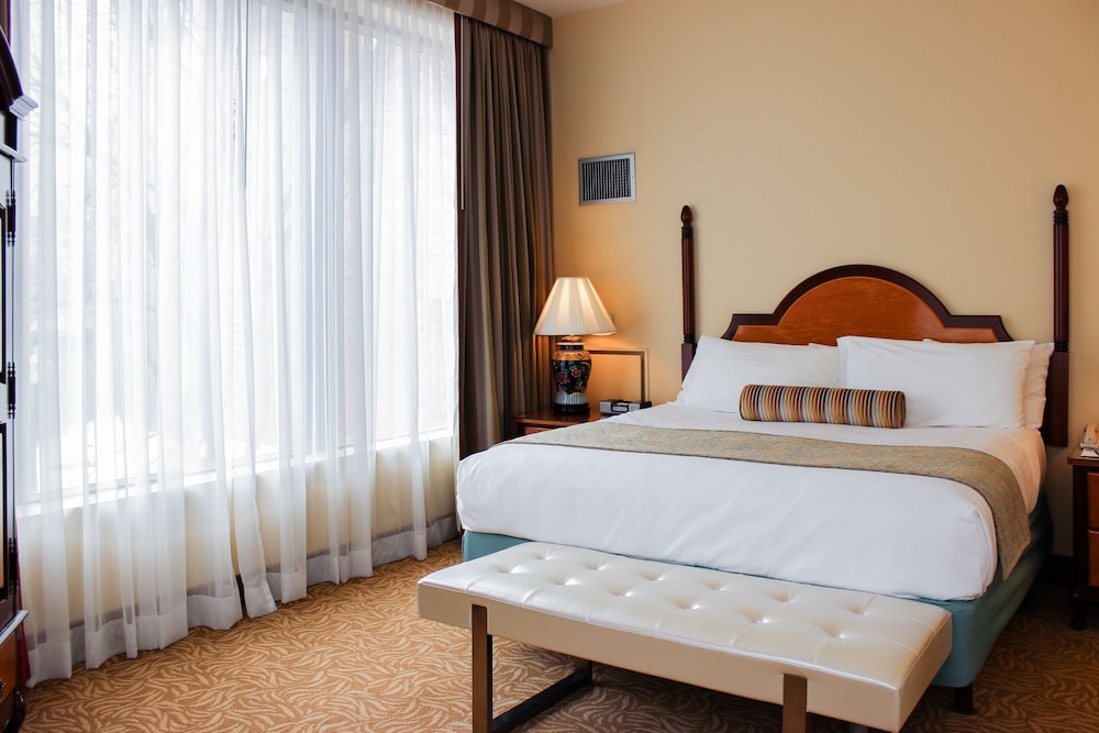 Imagen de la habitación del Hotel Hotel Providence. Foto 2