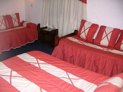 Imagen general del Hotel Hotel Puelches. Foto 2