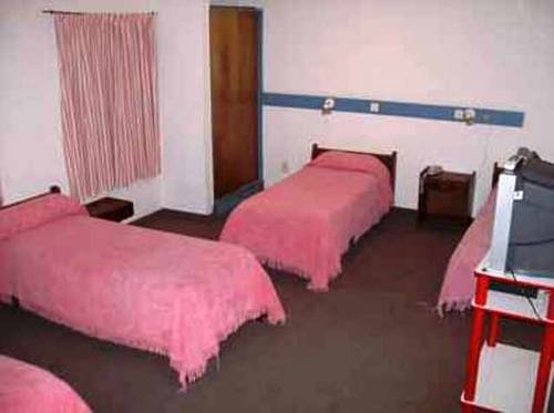 Imagen general del Hotel Hotel Puelches. Foto 7