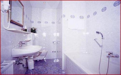 Imagen general del Hotel Hotel Radetzky. Foto 4