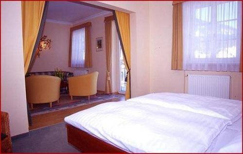 Imagen general del Hotel Hotel Radetzky. Foto 11
