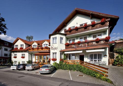 Imagen general del Hotel Hotel Rajsky. Foto 7