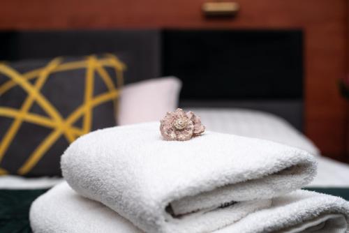 Imagen de la habitación del Hotel Hotel Rejs. Foto 12