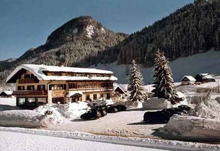 Imagen general del Hotel Hotel - Restaurant Gosauerhof. Foto 11