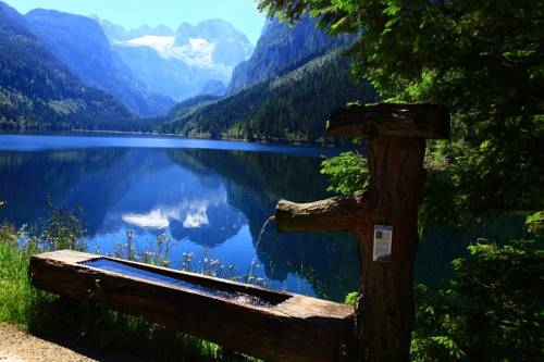 Imagen general del Hotel Hotel - Restaurant Gosauerhof. Foto 15