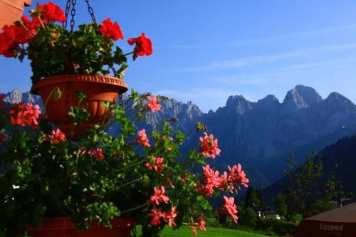 Imagen general del Hotel Hotel - Restaurant Gosauerhof. Foto 17