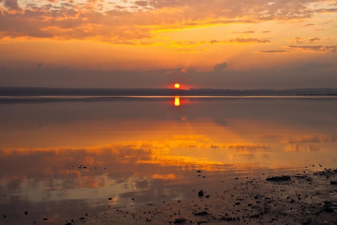 Imagen general del Hotel Hotel Royal Marine. Foto 14