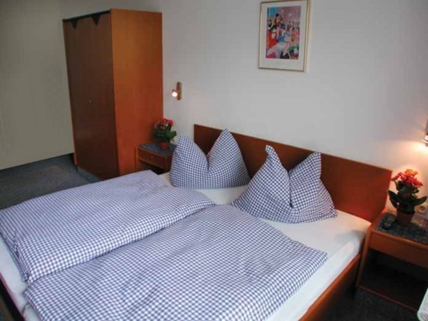 Imagen general del Hotel Hotel Rubin, Esqui alpes (SZG INN). Foto 4