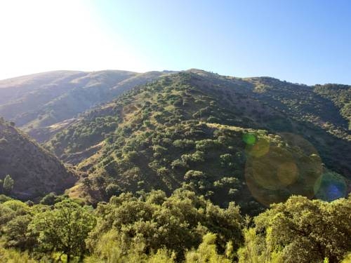 Imagen de la piscina del Hotel Hotel Rural Molino Del Puente Ronda. Foto 14