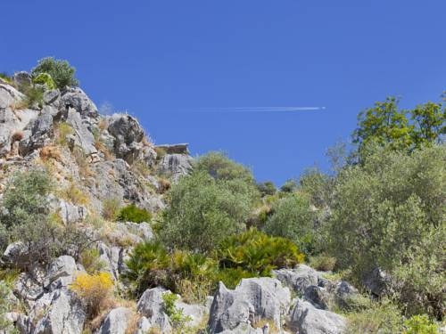 Imagen del bar/restaurante del Hotel Hotel Rural Molino Del Puente Ronda. Foto 11