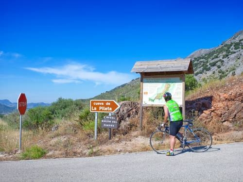 Imagen de la piscina del Hotel Hotel Rural Molino Del Puente Ronda. Foto 15