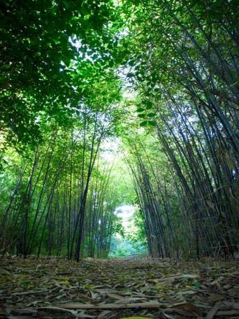 Imagen del bar/restaurante del Hotel Hotel Rural Molino Del Puente Ronda. Foto 12
