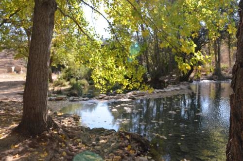 Imagen general del Hotel Hotel Rural los Pintores. Foto 8