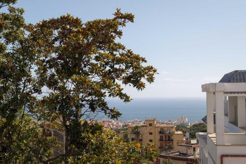 Imagen general del Hotel Hotel Sakura. Foto 6