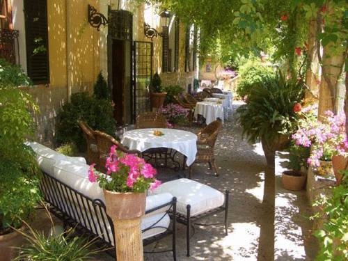 Imagen de los exteriores del Hotel Hotel Salvia. Foto 11