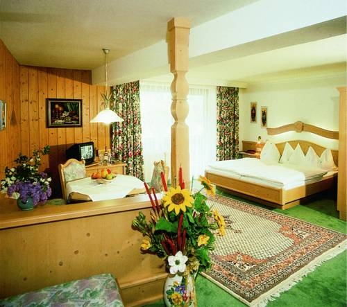 Imagen general del Hotel Hotel Salzburg, Saalbach-Hinterglemm . Foto 25