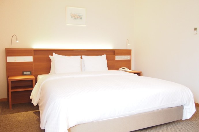 Imagen de la habitación del Hotel Hotel San Crane. Foto 12