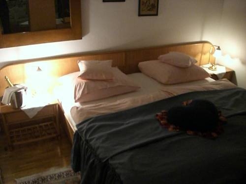 Imagen general del Hotel Hotel Schneider-Gössl. Foto 19