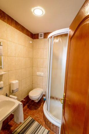 Imagen de los interiores del Hotel Hotel Scorilo Oradea. Foto 7