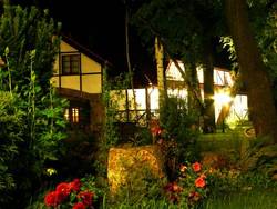 Imagen general del Hotel Hotel Selena. Foto 6