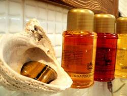 Imagen general del Hotel Hotel Selena. Foto 7