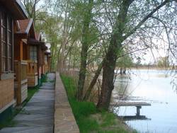 Imagen general del Hotel Hotel Selena. Foto 12