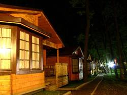 Imagen general del Hotel Hotel Selena. Foto 32