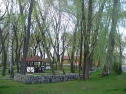 Imagen general del Hotel Hotel Selena. Foto 33