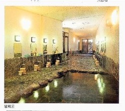 Imagen general del Hotel Hotel Sengoku. Foto 5