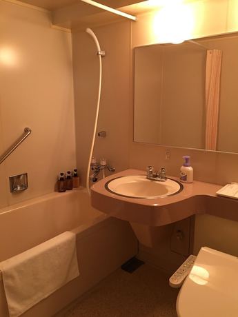 Imagen de la habitación del Hotel Hotel Sentpia. Foto 8