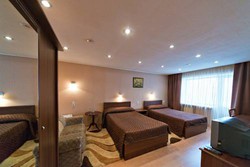 Imagen general del Hotel Hotel Shvedka. Foto 3