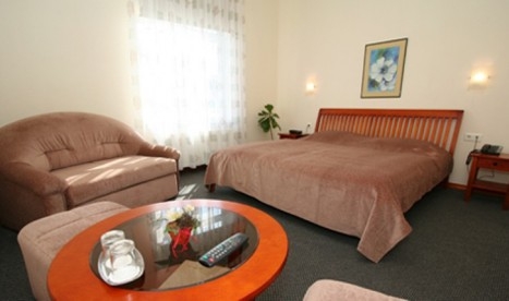 Imagen de la habitación del Hotel Hotel Sigulda. Foto 3