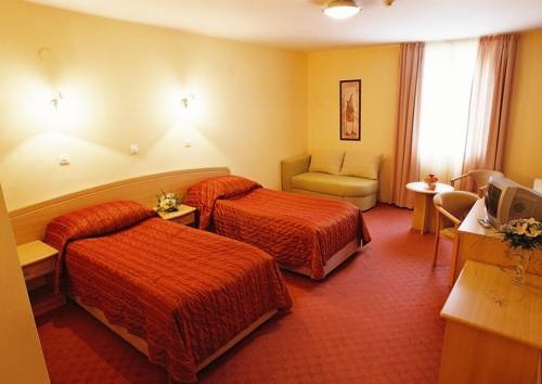 Imagen general del Hotel Hotel Silver. Foto 8